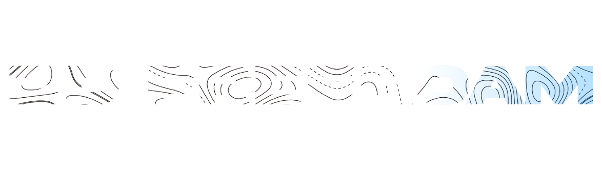 Logo ZD FREEROAM